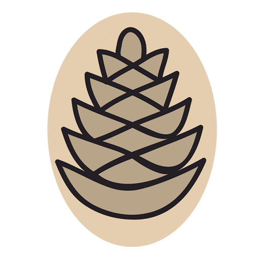 logo pignetplume-redactionweb-landes